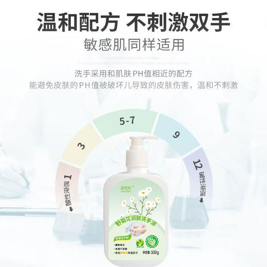 【温和配方】暮皙晗 野菊花润肤洗手液 500g/瓶 水润舒缓 商品图2
