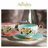 英国 Aynsley安斯丽   色釉山茱萸系列奥本一杯一碟 商品缩略图2