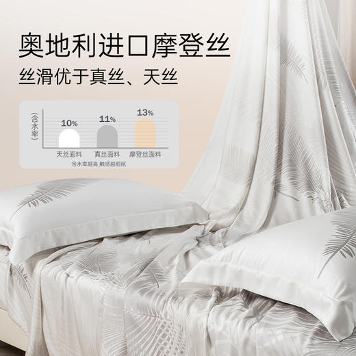 2025年新款雅芳婷100S摩登丝六件套轻奢天丝被套床笠床单丝滑套件 商品图1