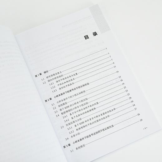 小样本条件下的干扰认知与抗干扰技术 低复杂度的单节点干扰认知与多节点协同干扰认知技术 抗跟踪干扰的索引调制跳频通信方法 商品图1