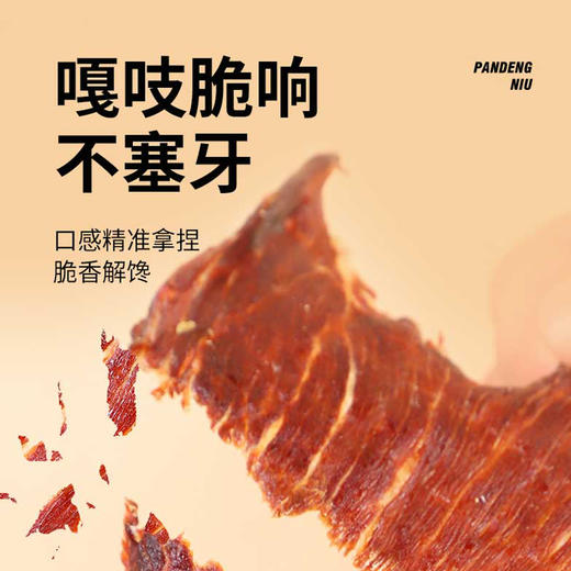 【特惠56.9】攀登牛安格斯牛排脆孜然味100g-（效期至26年6月30日）-专享价 商品图2