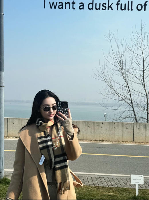 【秒杀价已调 直接拍】原厂 格子经典系订制 蓝标围巾 商品图4