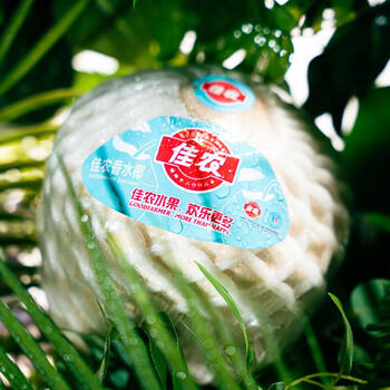 佳农泰国进口椰青 6粒单果约800g 赠开椰器吸管新鲜水果源头直发 商品图2