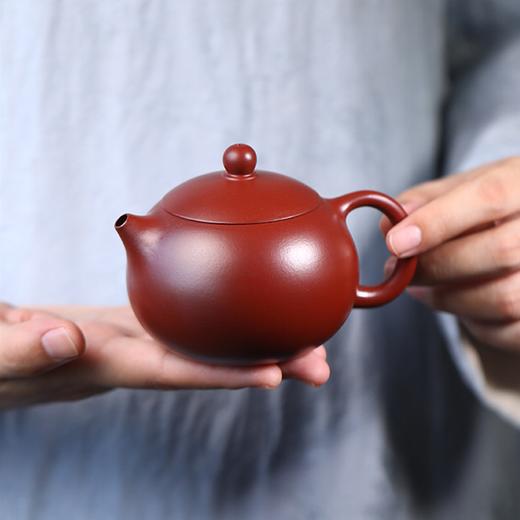 宜兴紫砂壶丨西施壶 经典壶型 原矿朱泥大红袍/紫泥/紫朱泥 约220ml 配礼盒装手提袋证书 商品图1