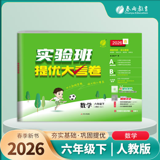 2026春 【人教版】 实验班提优大考卷 六年级数学(下) 商品图2