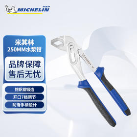 米其林 250MM水泵钳MCP0401