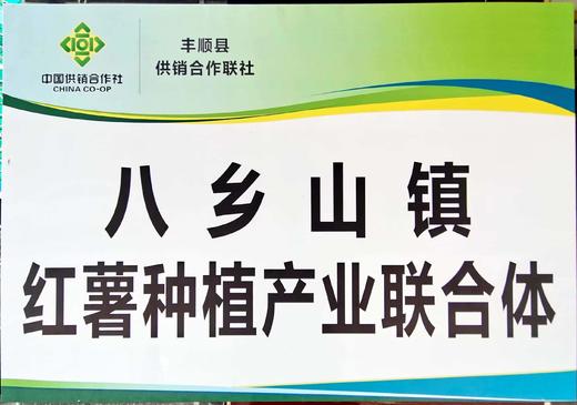 八乡瑰宝·西瓜红蜜薯-榴莲香薯 商品图9