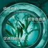 【广电专属 保税仓直发】HR/赫莲娜新版绿宝瓶全新三件套装（内含：水200ml+精华50ml+乳霜50ml） 商品缩略图2