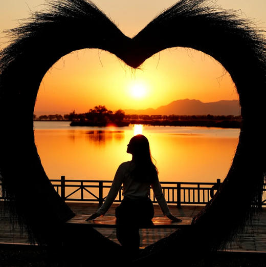 周三/六日/元旦1天中午出发【野鸭湖日落68元】橘子日落-网红打卡拍芦苇漫天の闯入金色芦苇荡的冬日童话 商品图4