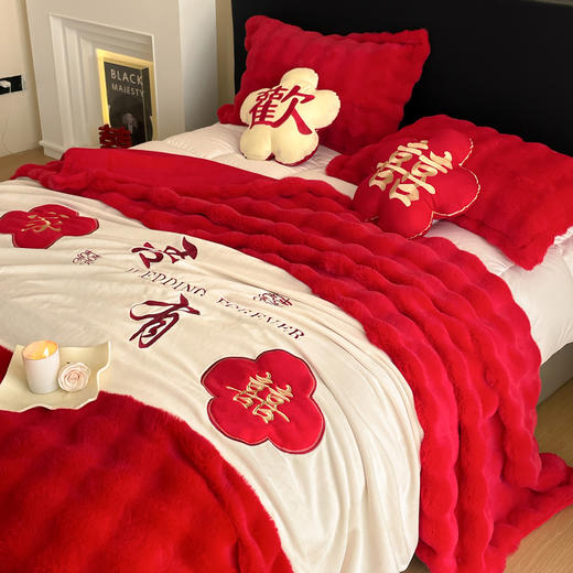 【品牌直发】加倍生活 兔毛绒多功能婚庆毛毯 被套两用婚庆毯 豆豆被被子被芯 商品图3
