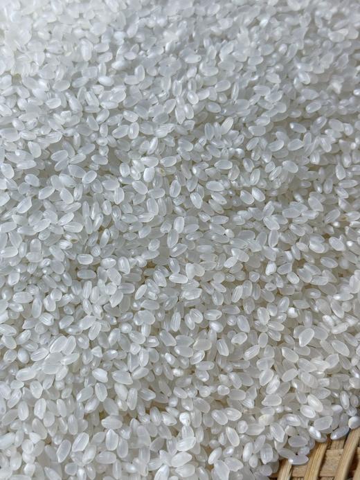 辽宁有机蟹田米49元1袋10斤装，明天到 商品图5