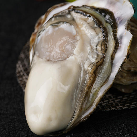 乳山生蚝 | 百“蛎”挑一，无论从饱满度、新鲜度或者口感，都称得上国内数一数二的品种。 商品图8