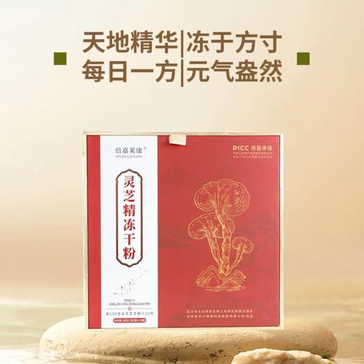 【兴合吉供】倍嘉莱康灵芝精冻干粉【翻盖礼盒】【9g】 商品图4