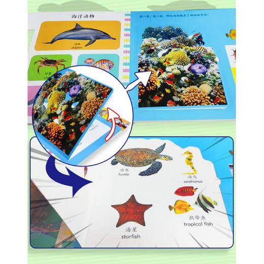 《0～4岁幼儿认知翻翻书》（中英双语）全6册 商品图2