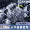 【顺丰发货】妙趣果语 花香蓝莓 100g*4盒 酸甜爽口肉厚脆嫩 商品缩略图0
