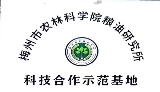 八乡瑰宝·西瓜红蜜薯-榴莲香薯 商品图11