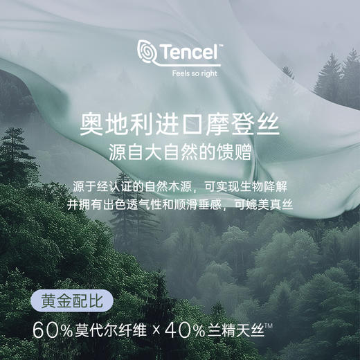 雅芳婷新款60支摩登丝床上四件套床笠款莫代尔天丝被套高级感套件 商品图1