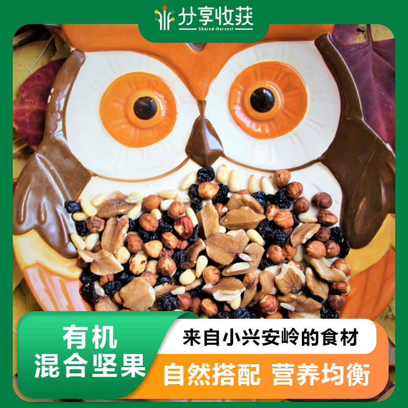有机混合坚果 | 营养全面 |  公平贸易 | mixed nuts
