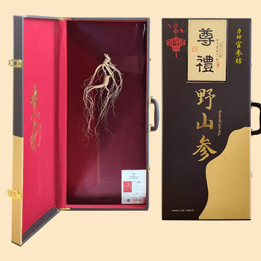 一等野山参20年以上【首发】 商品图2