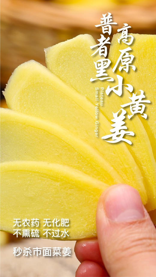 【云南高原小黄姜】姜中“王者”👍  药食同源的养生姜，金黄肉质+肉质紧实饱满、姜丝细腻、味浓辛辣，非常适合去腥提味‼️-DHJ 商品图5