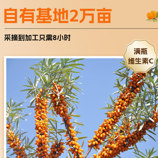 兴合吉供沙棘果汁饮料【330ml*6瓶】 商品图2