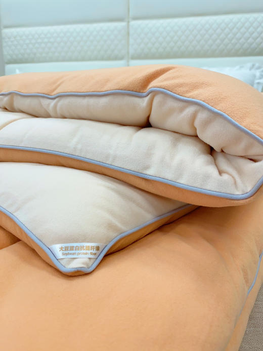 松植屋糖果单人抱抱被 A类大豆冬被子学生宿舍冬季被芯大豆纤维亲肤透气 商品图10