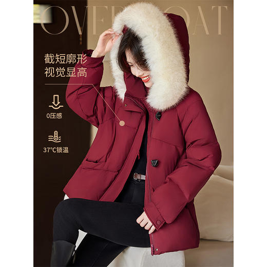 【年终特卖】熙世界酒红色羽绒服女冬季短款2025年新款高端90白鸭绒连帽外套 商品图2