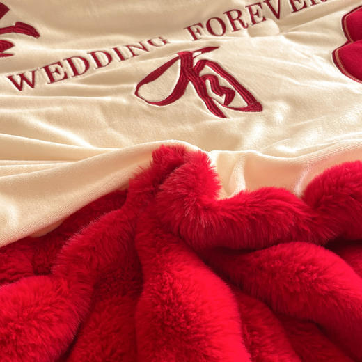 【品牌直发】加倍生活 兔毛绒多功能婚庆毛毯 被套两用婚庆毯 豆豆被被子被芯 商品图5