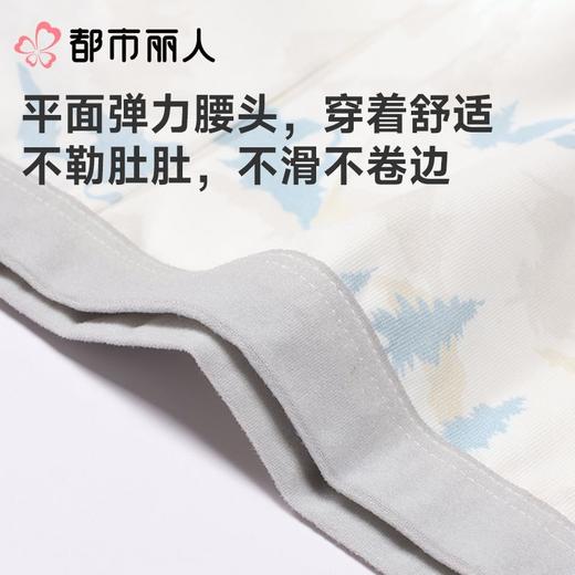 都市丽人男童童装内裤棉质平角裤中腰平角男童内裤JKCBA6 商品图4