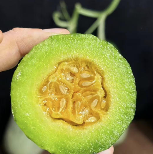 【蜜七七新品妙脆角酥瓜】健康瘦身水果伴侣，香甜爽口，清脆爽口，富含维生素，矿物质，不一样的味道 商品图1