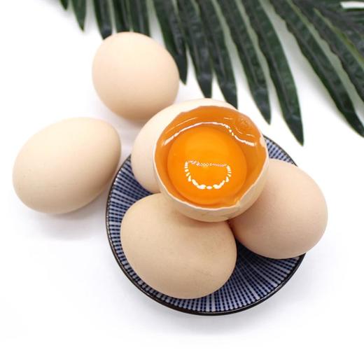 【现捡现发】物源初见 可生食鸡蛋 10枚/箱 美味香醇 商品图2