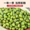 【色泽鲜亮清香醇厚❗️易煮易沙口感沙糯】农家绿豆 新货优质5斤农家绿豆粥绿豆汤杂粮笨绿豆糕。jb 商品缩略图3