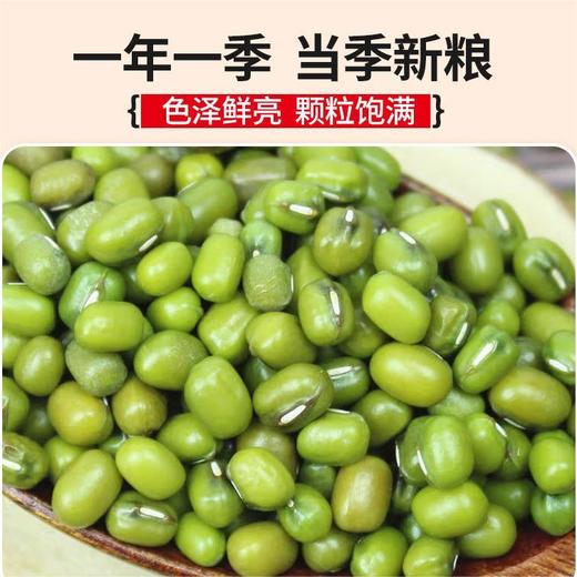 【色泽鲜亮清香醇厚❗️易煮易沙口感沙糯】农家绿豆 新货优质5斤农家绿豆粥绿豆汤杂粮笨绿豆糕。jb 商品图3