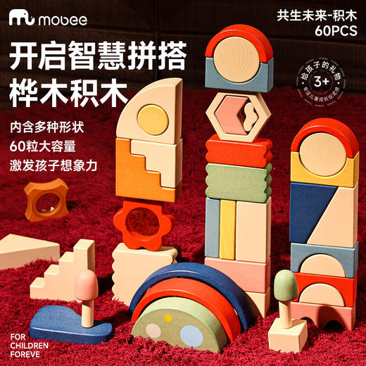 mobee共生未来积木-60PCS PN-C028 商品图0
