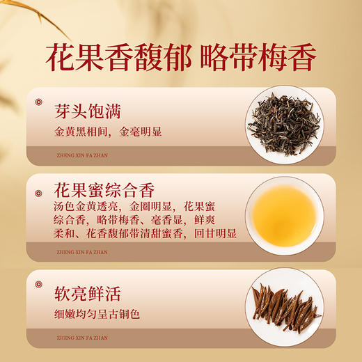 正山堂骏眉中国正心发展 金枝玉叶 特级红茶正宗单芽罐装礼盒装送礼 商品图1