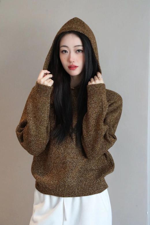（预售七天发）【高品质私服】【加厚连帽/高领花纱针织衫】单穿/叠穿都戳中氛围感，精致通勤都能搭【无标出货 介意慎拍】WD 商品图1
