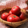 生态西红柿（北京） 合作生产*Ecological tomato| Partner Production 商品缩略图2