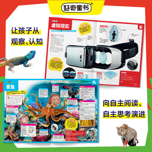 《惊人的世界》全套6册 商品图2