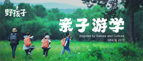 为什么选择跟野孩子游学？
