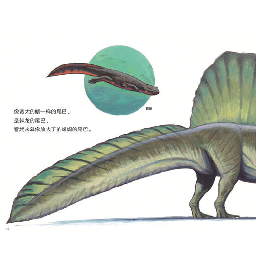 《科学之友经典图画书·生活真好玩》 （全6册） 商品图11