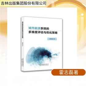 城市能源系统的多维度评估与优化策略