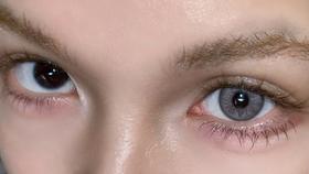 Serltyca半年抛美瞳 虹膜写真灰 14.2mm