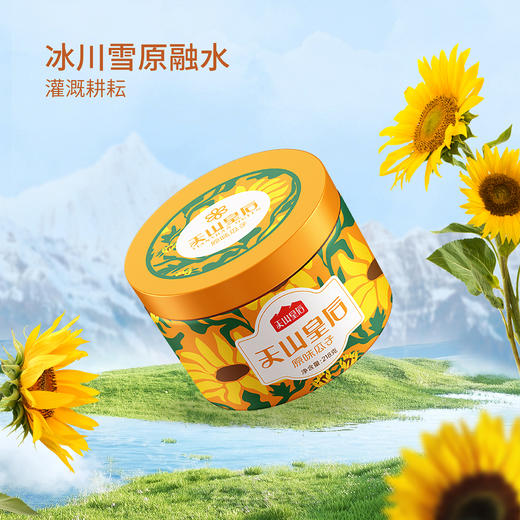 【甄选】新疆天山皇后瓜子礼盒颗粒饱满本色原味218g*6罐手提礼盒装 商品图0