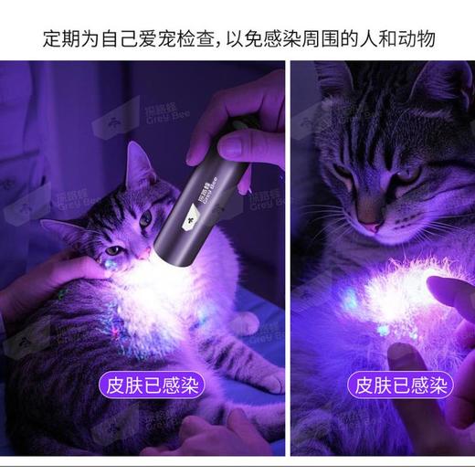 紫光灯鉴定专用验钞365nm鉴别烟酒翡翠照玉石手电筒紫外线检测灯 商品图5