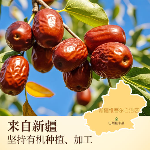 璞匠有机红枣片干泡水泡茶去核大枣新疆枣子无核脆枣片枣圈非独立包装 商品图1