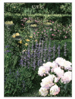 IZZIEASY丨99元插画