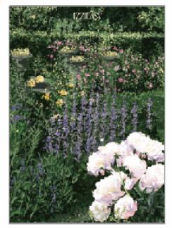 IZZIEASY丨99元插画 商品图0