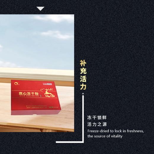 兴合吉供鹿心冻干粉【15g】 商品图2