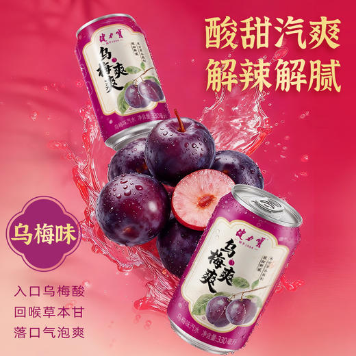 健力宝山楂爽爽/乌梅爽爽汽水330ml罐装 商品图3