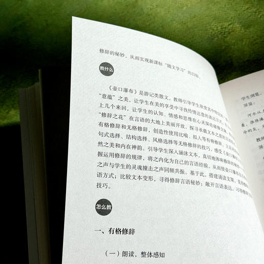 教有学理的语文 大夏书系 语文之道 刘兆刚 初中语文经典课例 商品图9